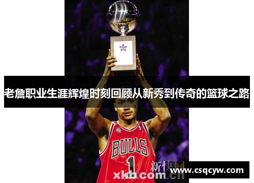 老詹职业生涯辉煌时刻回顾从新秀到传奇的篮球之路
