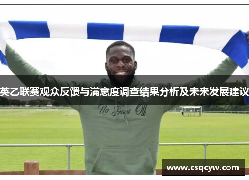 英乙联赛观众反馈与满意度调查结果分析及未来发展建议